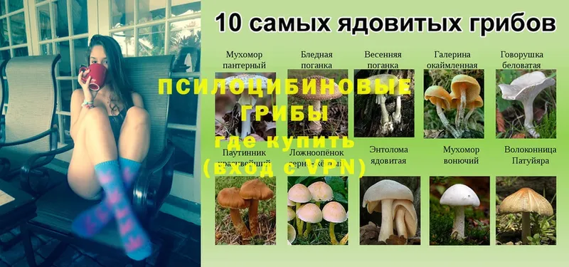 Псилоцибиновые грибы мухоморы  Воркута 